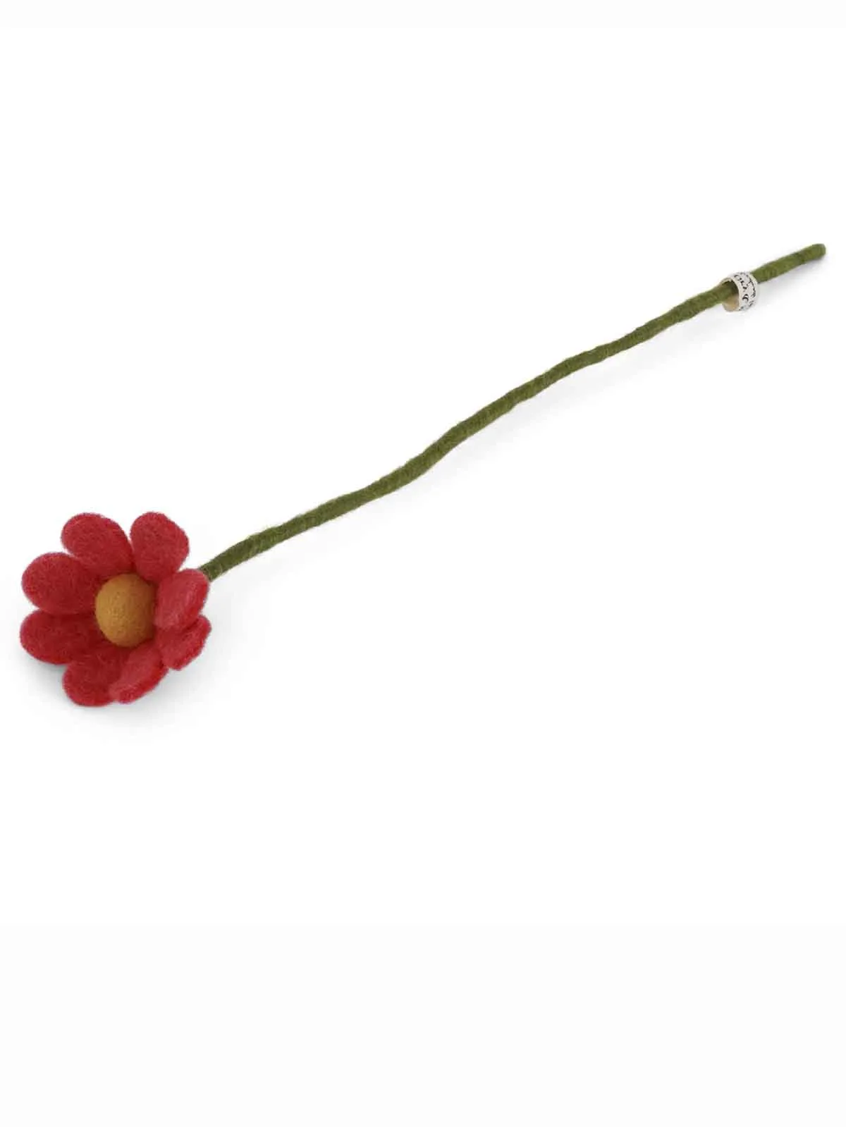 Filt anemone (30 cm) - Melon