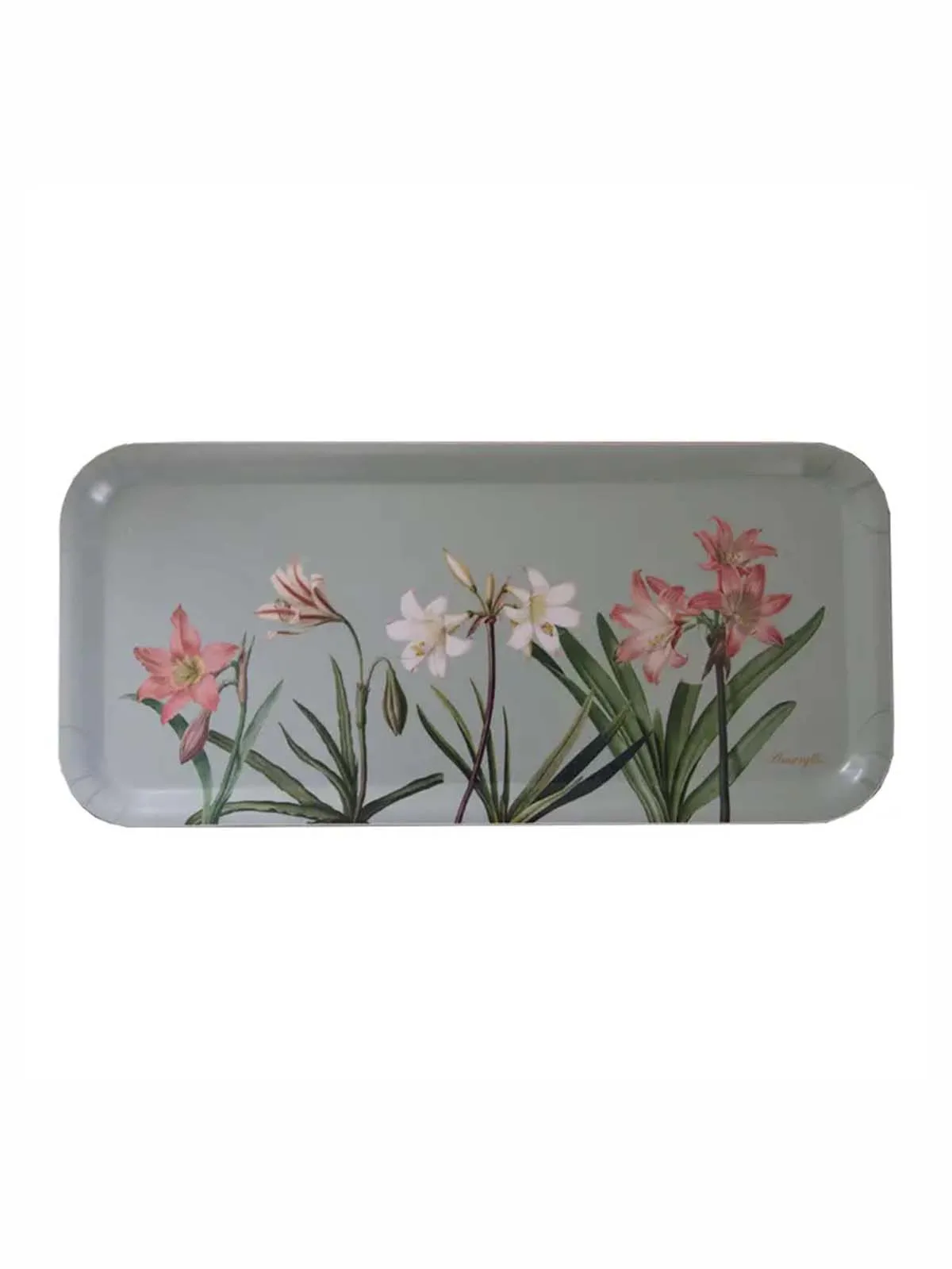 Aflang bakke i birketræ 32x15 cm - Amaryllis