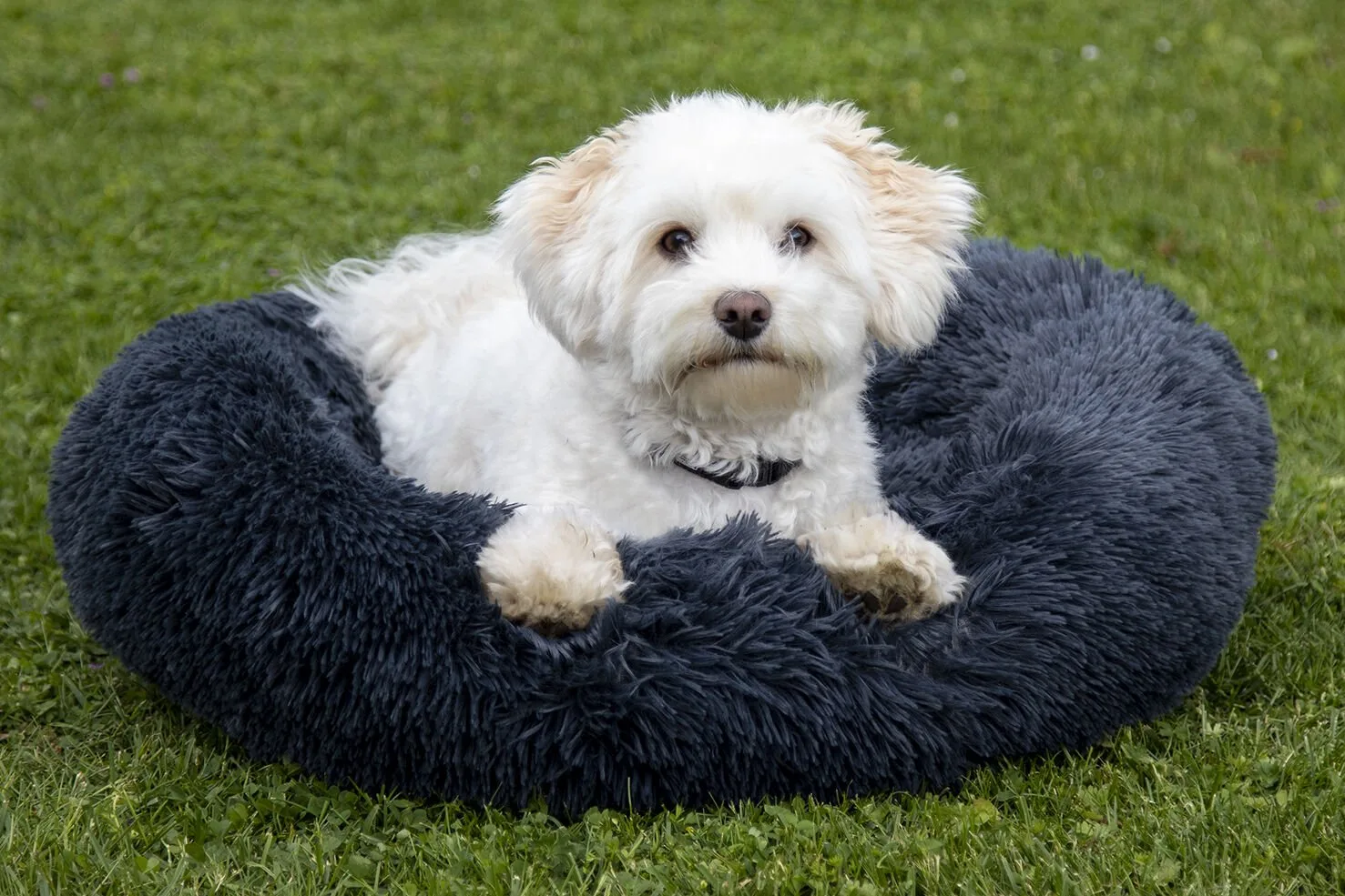 Fluffy hundeseng - Lys rosa , diamenter 60 cm x højde 25 cm