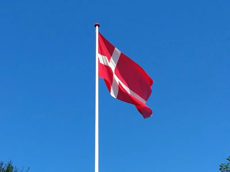 Træflagstang til støtte - 4 meter