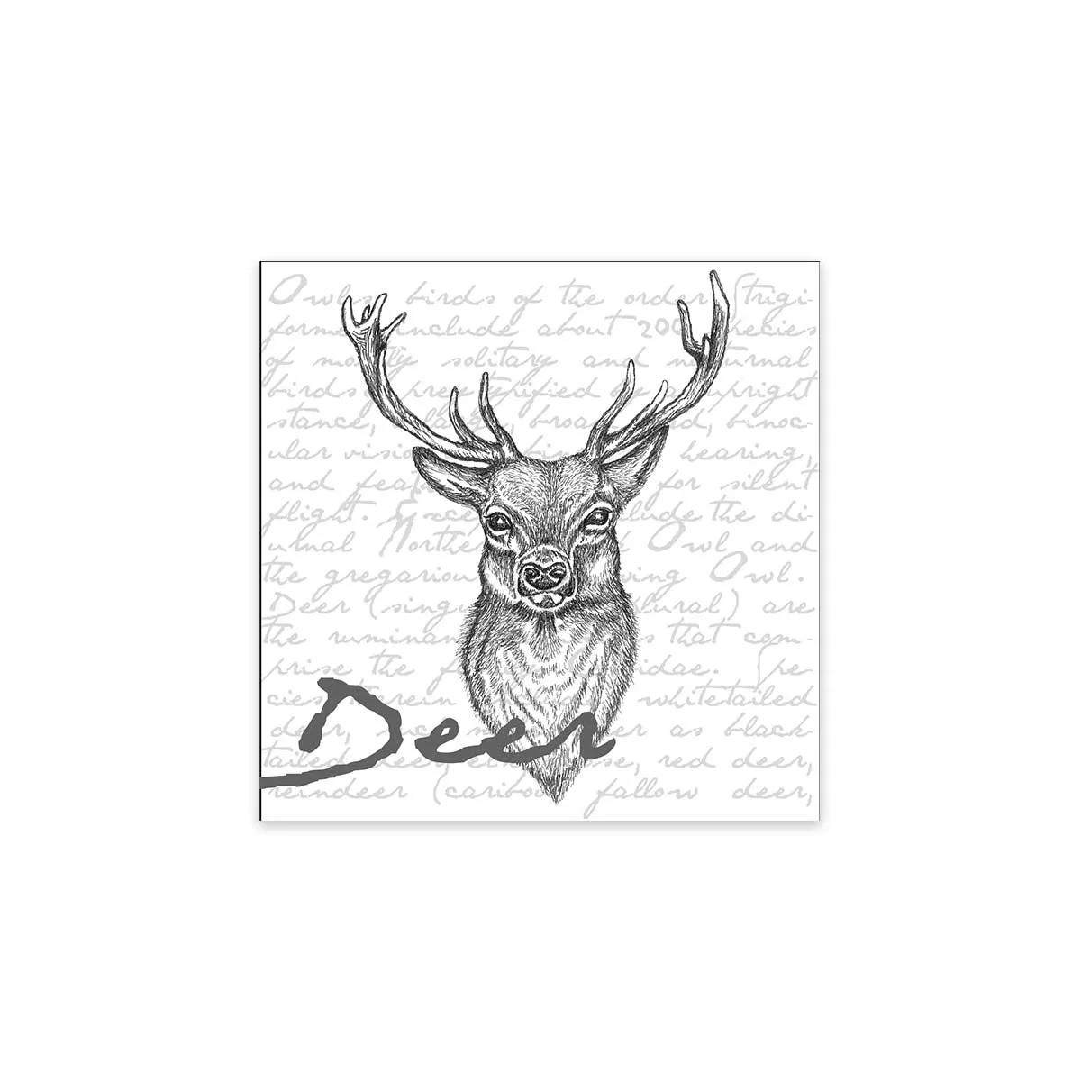 "Deer"